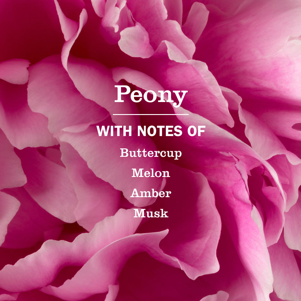 Peony Multi-Surface Everyday Cleaner - Image 4