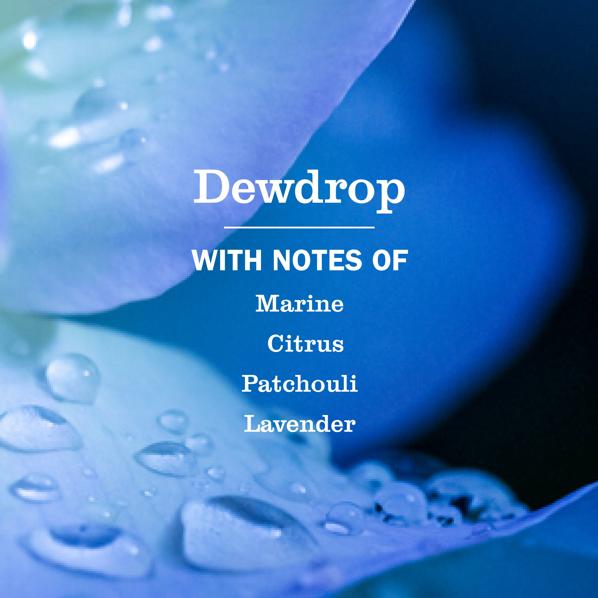Dewdrop Dish Soap - Image 4
