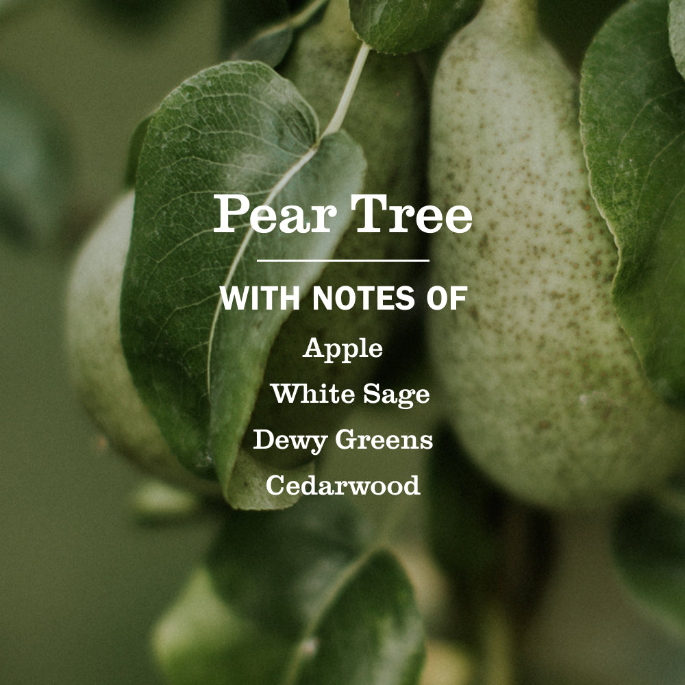 Pear Tree Liquid Hand Soap - Image 4