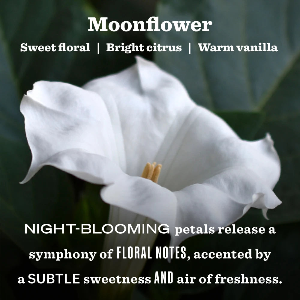 Moonflower Garden Heirloom Candle - Image 3